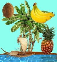 Vacances au soleil !
