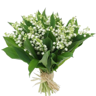 Le muguet du 1er Mai