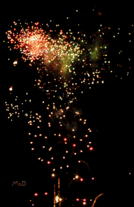 Bonne Ann�e 2011