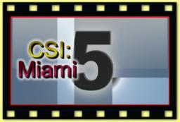 theme 365 CSI Miami part5