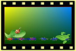 theme 5009 Insecte