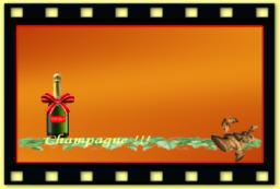 theme 5011 Vignes