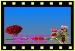theme 5014 Romantique