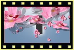 theme 5015 Chute fleurs