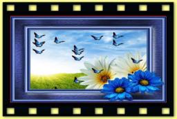 theme 5016 Nature