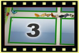 theme 5021 Segue C Fleuri