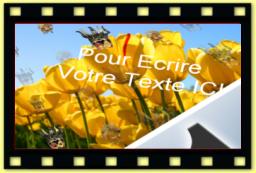 theme 3040 7 - Opening