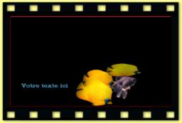 theme 1043 Poisson 2
