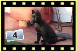 theme 1046 X2