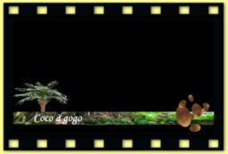 theme 1020 Cocotier