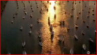 CSI Miami scene 19