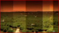 CSI Miami scene 28