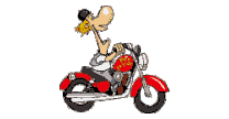 moto.gif